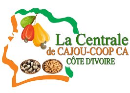 Commerce Équitable et Noix de Cajou : Soutenir les Producteurs Locaux en Côte d’Ivoire